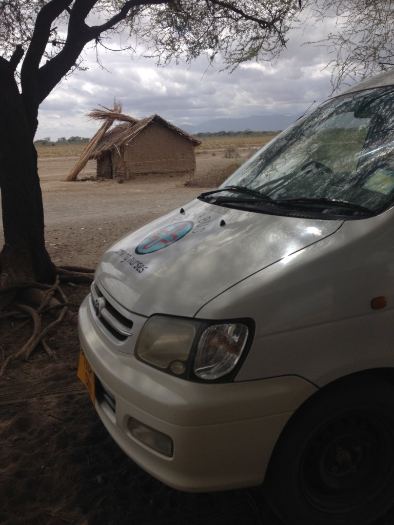 Antenatal care for 1000 rural Tanzanian women