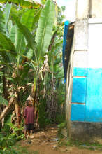 Rain Harvesting Gutter