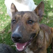 TOBO now is part of our shelter pack