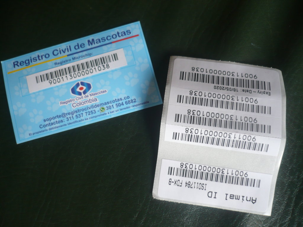 Spay/Neuter 700 homeless dogs in Tabio, Colombia