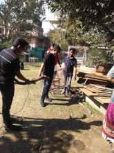 transporting animal cages by volunteers