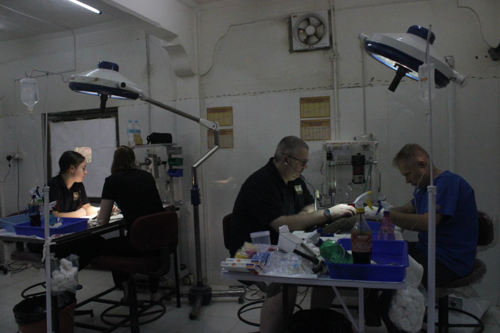 Uttrayan Save Birds Campaign (kite festival)