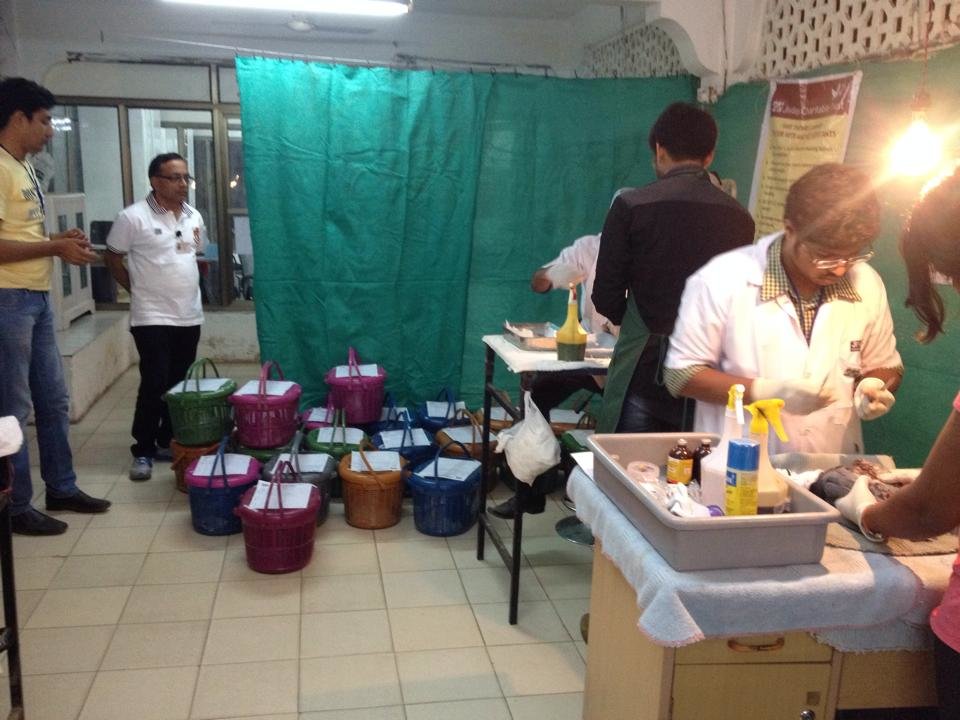 Uttrayan Save Birds Campaign (kite festival)