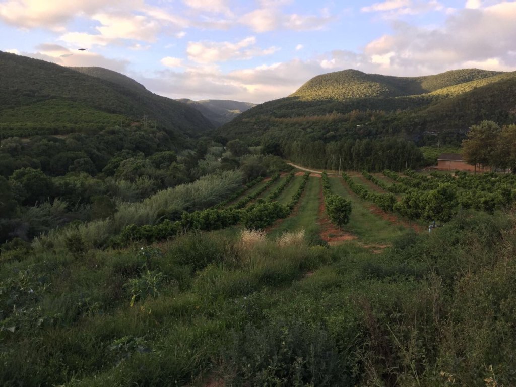 Education in rural South Africa - Vehicle needed