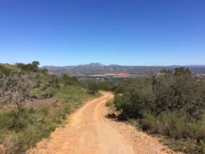 rural road to school