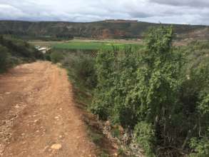 rural road to school