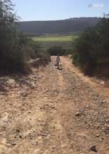 Climbing the road to the school