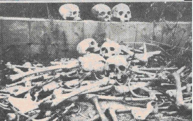 To prevent and fight against the genocide ideology