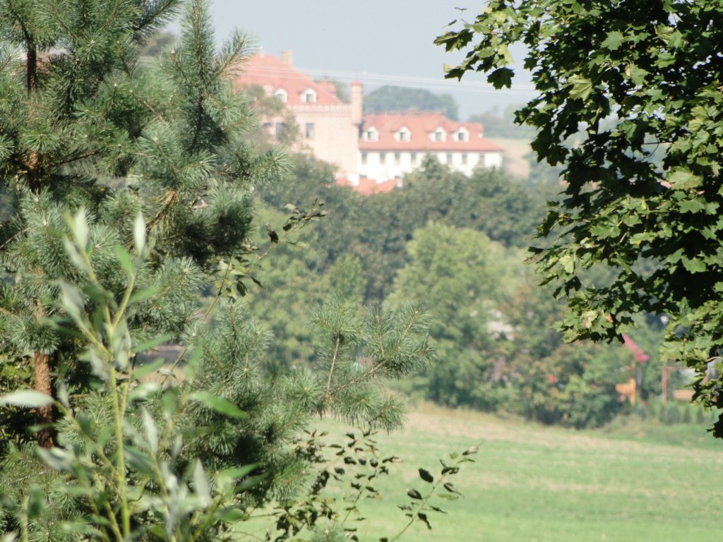 Safeguarding Frogs and Birds in Masuria, Poland