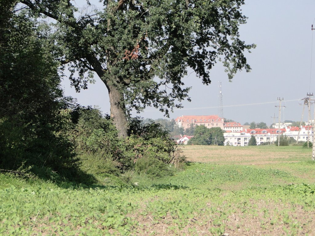 Safeguarding Frogs and Birds in Masuria, Poland
