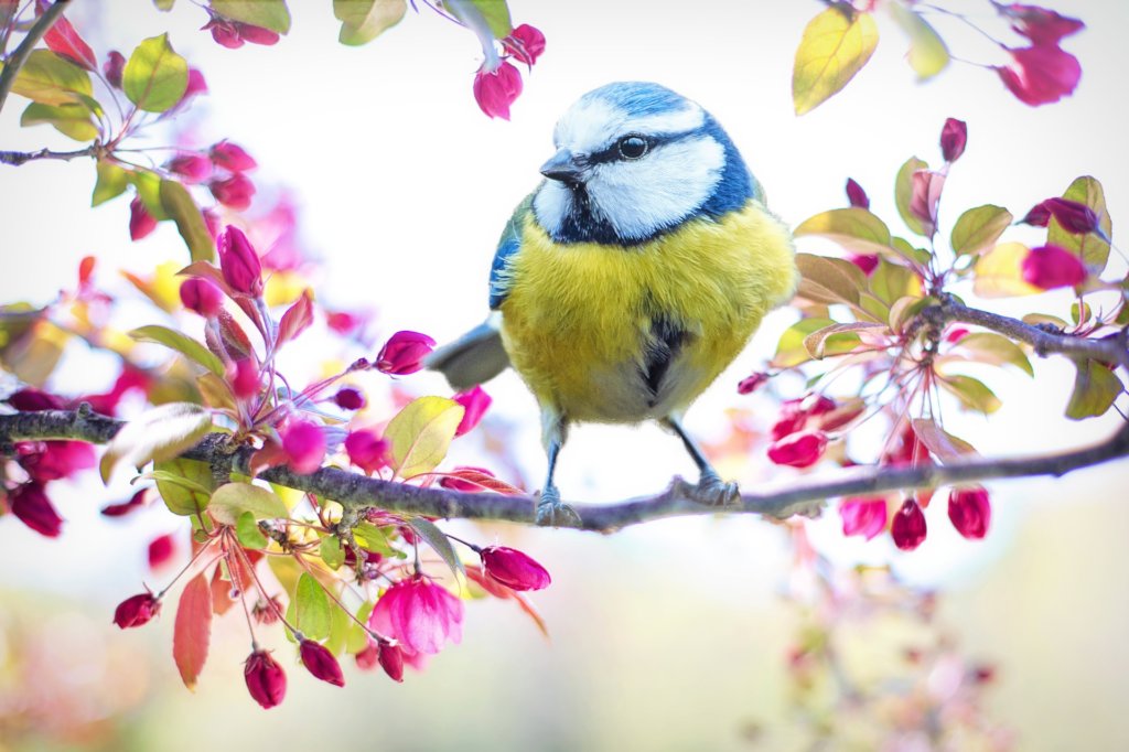 Safeguarding Frogs and Birds in Masuria, Poland