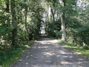 Rynski Dwor