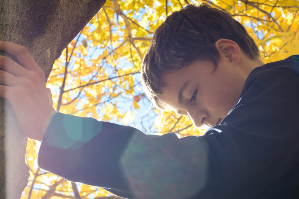 Growing Smart Urban Forests (GSUF)