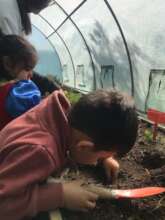 Conconcito Kindergarten