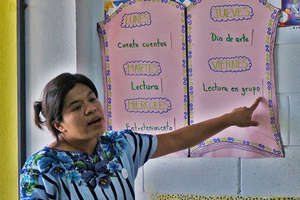 Our project technician leading a training session