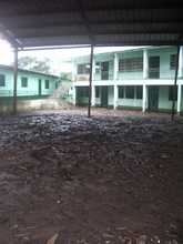 Library Building After the Storm