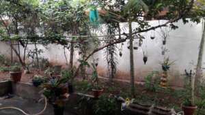 Gardening at Lotus Safe Home