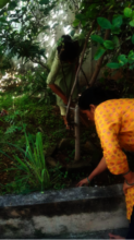 Engaging survivors in gardening