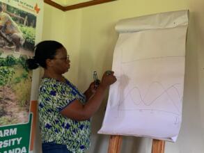 Sola graphs it: trees most important in dry season