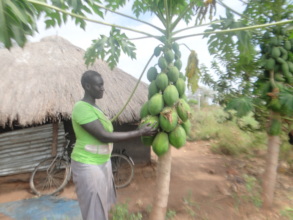 A refugee with her productive pawpaw (papaya) tree