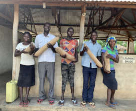 The seed team holds pods of sausage tree