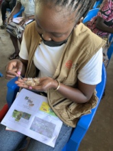 An NGO staffer inspects seed in training