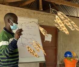 Joseph Ochwo shows Albizzia seed