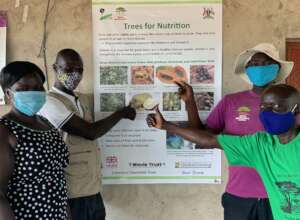 The teaming rocking "food" trees during COVID