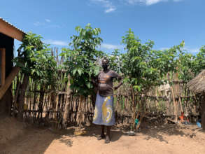 Refugee with guava + Markhamia trees just 1 yr old