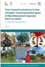 The cover of the final report