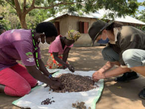 Sorting seed in the learning center