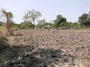 The nursery area before we laid it out in 2017