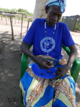 Elderly refugee describes indigenous fruit species