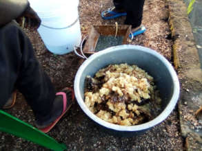 Honeycomb from the centre beehives