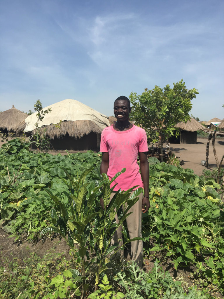 Agroforestry with refugees and hosts in NW Uganda
