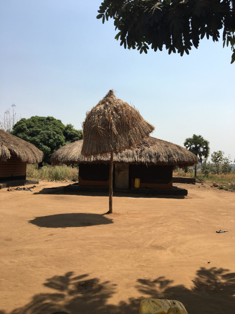 Agroforestry with refugees and hosts in NW Uganda