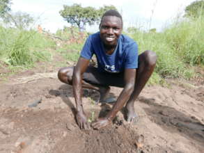A refugee plants a seedling