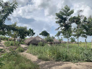 A refugee homestead with GlobalGiving trees