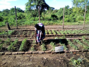 Pre-COVID, a nursery worker harvests vegetables