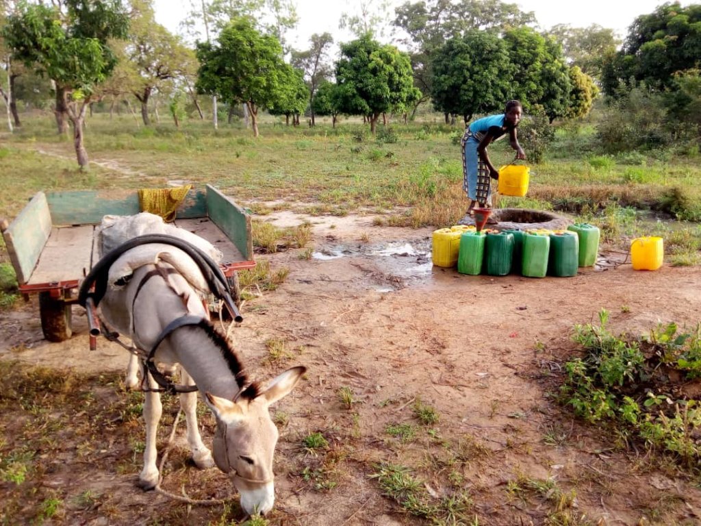 Clean Water for 1200 villagers in Burkina Faso