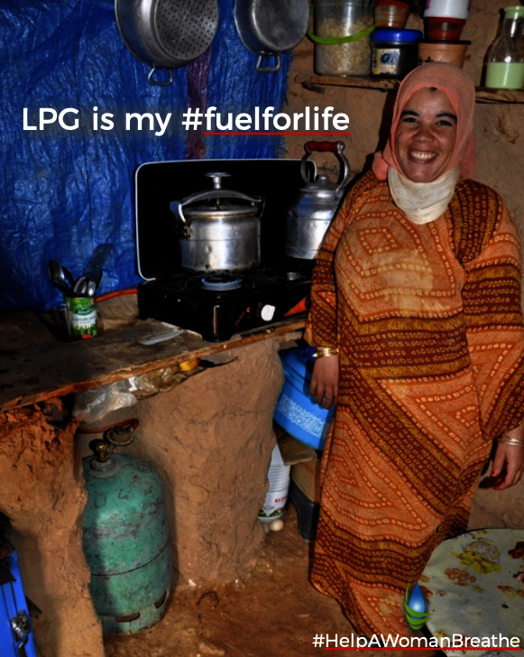 Bottled Gas For Better Life: Microfinance for LPG