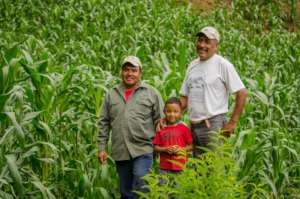 Grupo Ecologico Sierra Gorda