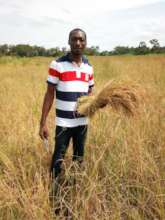 Help Farmers for Rice Processing Machine