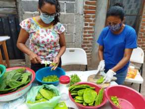 nopal cutting