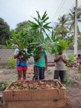 School garden