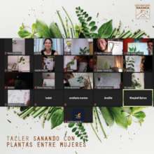 Digital herbal medicine workshops