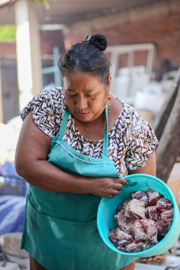 Zapotec Post-Earthquake Reconstruction | Oaxaca MX