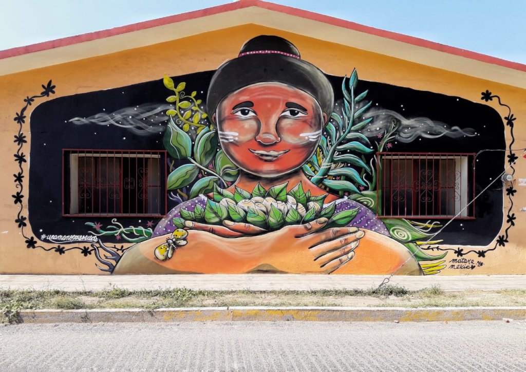 Zapotec Post-Earthquake Reconstruction | Oaxaca MX