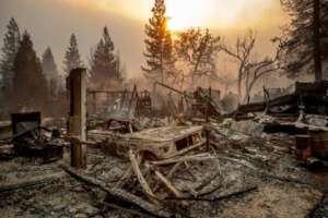Camp Fire Evacuation Relief Fund