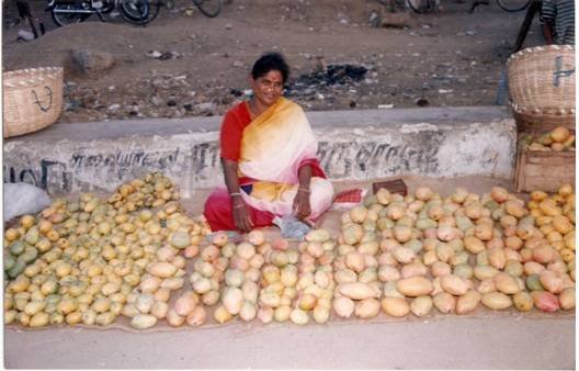 Eradicate Poverty in 1000 poor Families in India